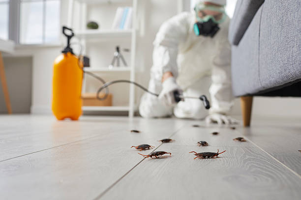 Commercial Kitchen Cockroach Control in Sells